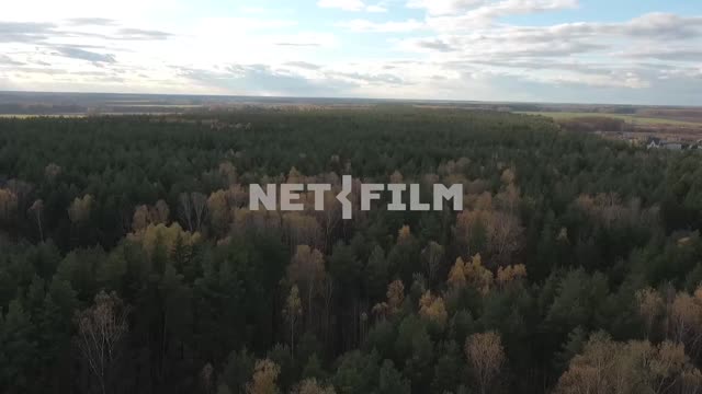 Aerial photography, koperna shot, Russian autumn forest, beautiful autumn trees, open spaces....