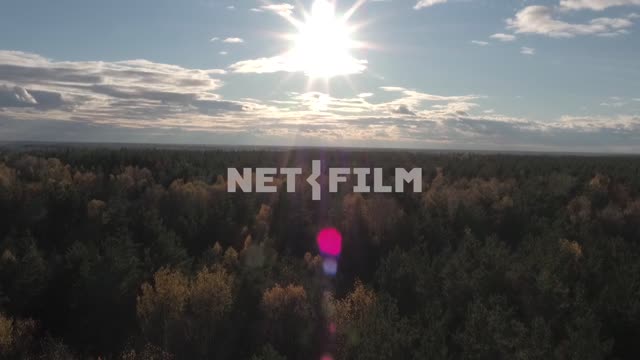 Aerial photography, koperna shooting, forest, beautiful autumn trees, beautiful sky over the forest...