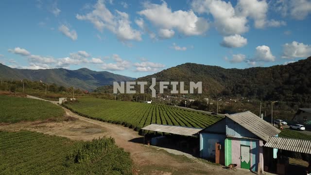 Aerial photo, survey copter, the cultivated field in the valley between the mountains, the road...