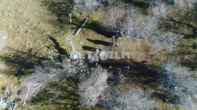 Aerial photo, survey copter, a shamanic ritual in the meadow between small trees. Aerial photo,...