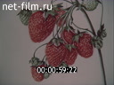 Film Industrial production of strawberries.. (1989)