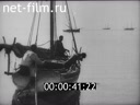 Footage Miracles of wildlife in the water. (1920 - 1929)