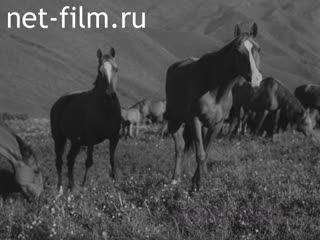 Film Nature and Society. (1976)