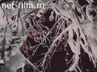 Film The "Russian Winter Festival .. (1979)
