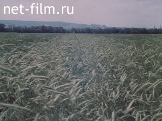 Film Agriculture in the USSR.. (1986)
