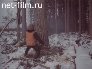 Реклама Северный лес. (1983)