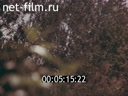 Фильм Шаг волка. (1992)