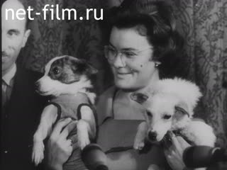 Footage The dogs Belka and Strelka. (1960)