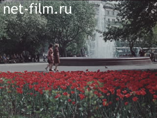 Сюжеты Парки, скверы и бульвары Москвы. (1970 - 1979)