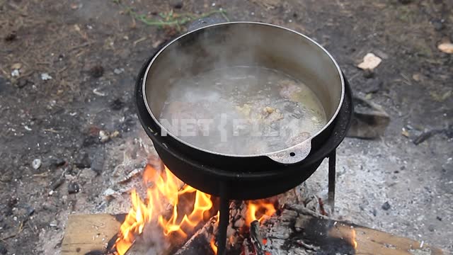 In a pot over the fire cooking soup In a pot over the fire cooking soup.
Nature, hearth, fire,...