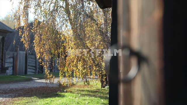 Деревенская улица,  деревянная дверь с круглой ручкой, аккуратная трава, Осень.Природа,...