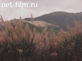 Footage The materials for the newsreel "Soviet Union" 1984 No. 205. (1984)