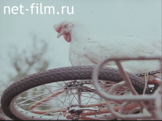 Фильм Незакрепленный груз. (1980)