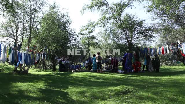 Shamans in the forest glade prepare for the ceremony.
Meadow adorned with sacred ribbons Shamans in...