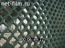 Materials on the film "the Festival of the USSR in India". (1988)