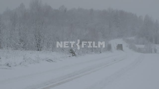 Машина уезжает в лес по заснеженной дороге. Россия, лес, снег, снегопад, метель, дорога, деревья,...