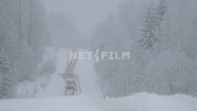 Машина едет в камеру по заснеженной лесной дороге, снегопад. Машина, зима, лес, сосны, шоссе, снег,...