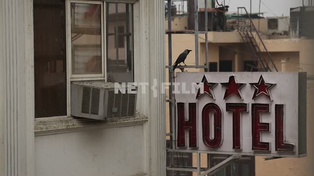 A crow is sitting on an iron bar with a sign "Hotel" Crow, bird, window, hotel