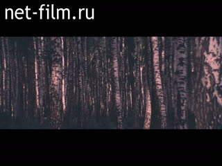 Footage Materials on the film "Birch lights". (1985)