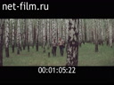 Footage Materials on the film "Birch lights". (1985)