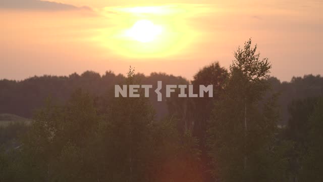 Sunset over the forest.
Summer, forest, field, trees, birch, Russia, sun, clouds, glow, sunset...