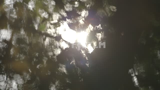 The sunlight in the water.
Solar flares, sunbeams, light, water, reflection, blue sky, clouds,...