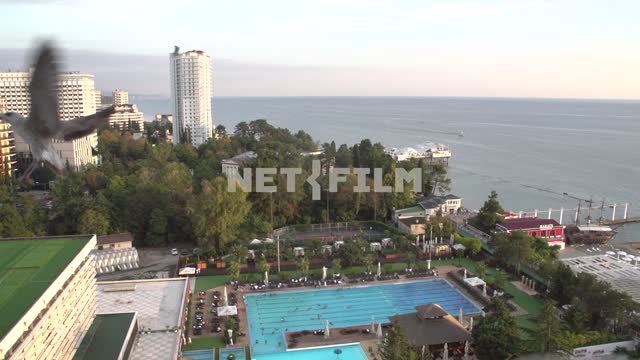 The view of the sea, the resort grounds, outdoor pool Black sea, Caucasus, Sochi, Krasnodar region,...