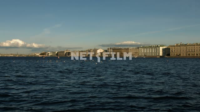 View of the Neva river in St. Petersburg, the Seagull Russia, Saint-Petersburg, Neva river, city,...
