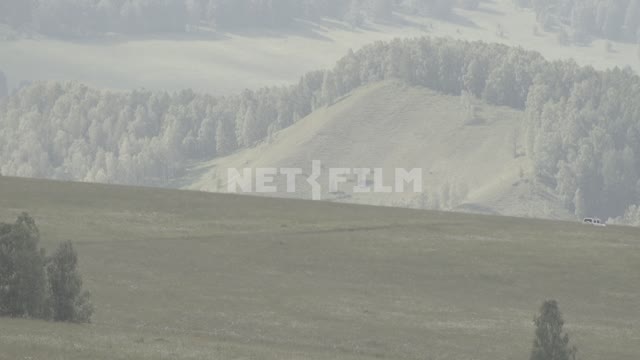The car goes across the field toward the forested hills.
Machine, white, forest, edge, field,...