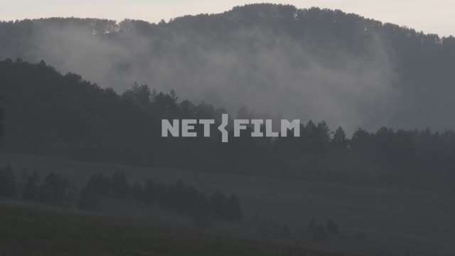 Fog rises over field and forest.
Evening, twilight, valley, mountain, field, meadow, forest,...