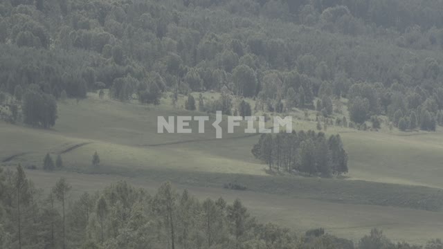 View of the mountain valley.
Mountains, mountain, hill, slope, trees, tree, forest, dead tree,...