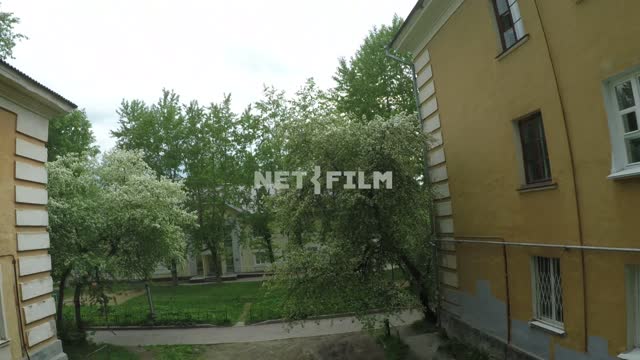 Tzvetushie gardens on the empty street, Yekaterinburg, spring 2020. Russia, Yekaterinburg, city, -...