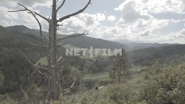 Dry tree on a background of mountains.
Mountains, mountain, hill, slope, trees, tree, forest, dead...