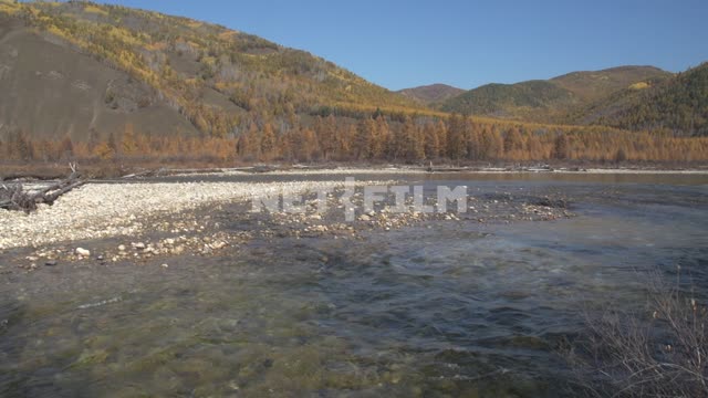 River in Eastern Siberia, autumn landscape Russia, Siberia, Baikal, Barguzin valley, the Barguzin,...