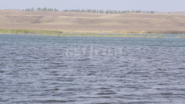 Озеро Асликуль (Асылыкуль) Озеро, вода, водоем, волны, холмы, травы, деревья, редколесье, природа,...