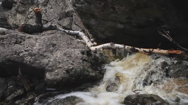 Gadelsha Waterfall, current, a fallen birch tree lies on the rocks Waterfall, water, rifts,...