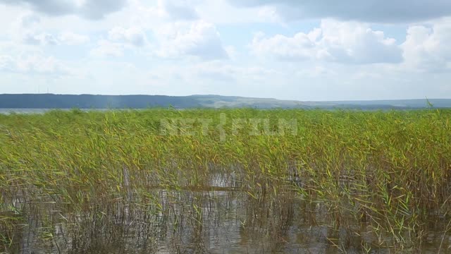 Aslikul Lake (Asylykul) Lake, water, pond, waves, herbs, aquatic plants, Sun, Clouds, Wind, Hills,...
