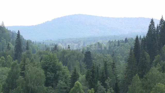 Nature of the Urals, mountains, forest on the slopes Mountains, forest, trees, nature