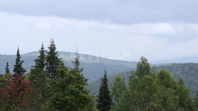 Природа Урала, горы, лес на склонах Горы, лес, деревья, облака, тучи, природа