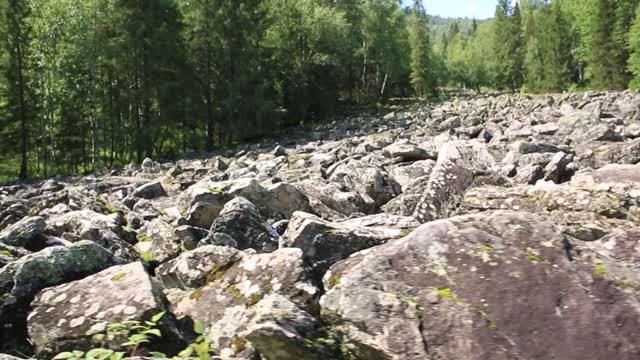 Большая каменная река, съемка в движении Национальный парк Таганай, горы, камни, валуны, мох, лес,...