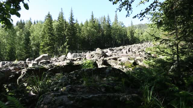 Большая каменная река Национальный парк Таганай, горы, камни, валуны, лес, деревья, природа