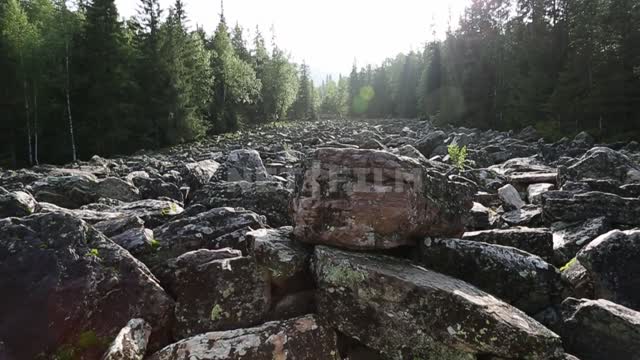 Stone river "Kurumnik on Lemise" in motion. Nature, kurumnik, stone river, Lamisa, the mountains of...