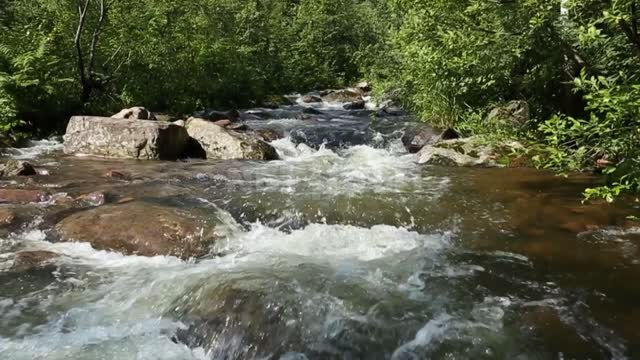 A stream in the mountains. Nature, boulders, stones, water, forest, summer, sun.