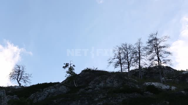 Southern Urals, Muradymov gorge, free-standing trees Nature park, mountains, rocks, stones,...
