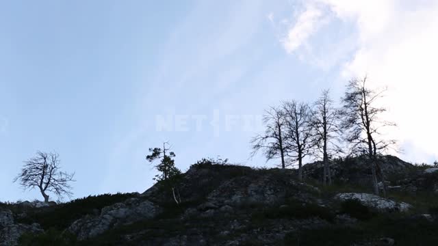 Southern Urals, Muradymov gorge, free-standing trees Nature park, mountains, rocks, stones,...