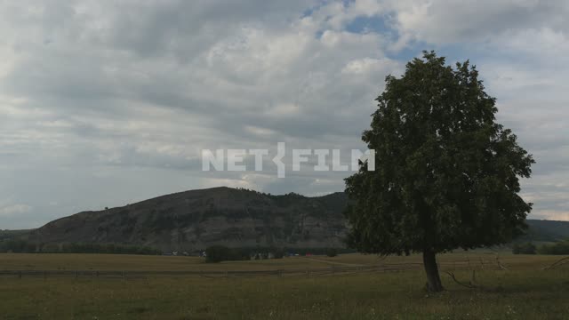 The nature of the Urals, a lonely tree against the background of mountains Gafuri district,...