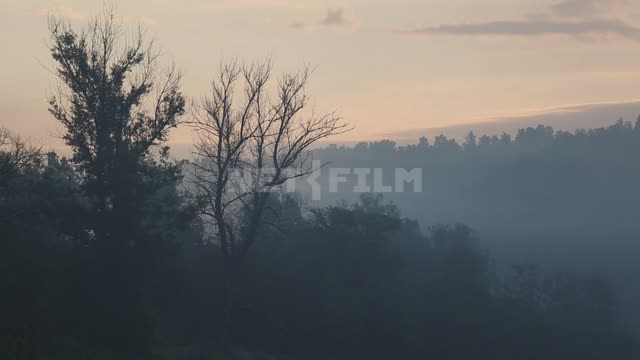Morning fog Ural, Salavatsky district, morning, dawn, sunrise, fog, forest, trees, clouds, nature