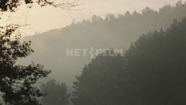Morning fog Ural, Salavatsky district, morning, dawn, sunrise, fog, forest, trees, nature