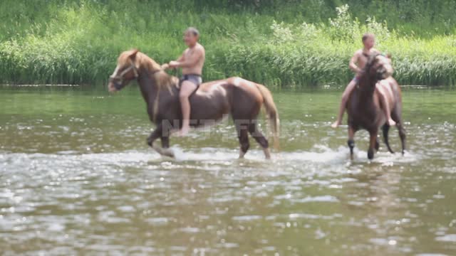 Дети купают лошадей в реке, ездят верхом, съемка не в фокусе Урал, Салаватский район, река, вода,...