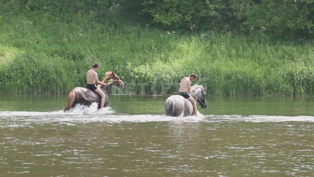 Children bathe horses in the river, ride on horseback Ural, Salavatsky district, river, water,...